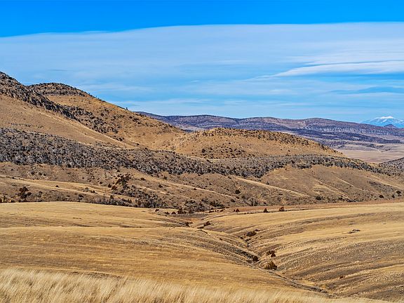 4th image of Madison St
