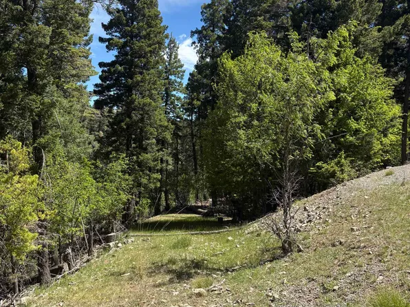 Little Bear 3, Cloudcroft, NM 88317