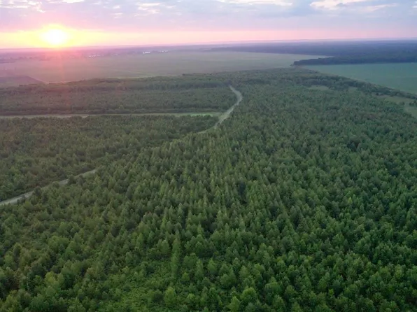 Highway Hwy #15, Vidalia, LA 71373