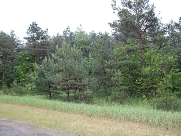 1550 Troyer Rd, Fairview, MI 48621