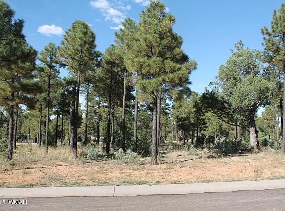 3rd image of 341 E Summerberry Dr