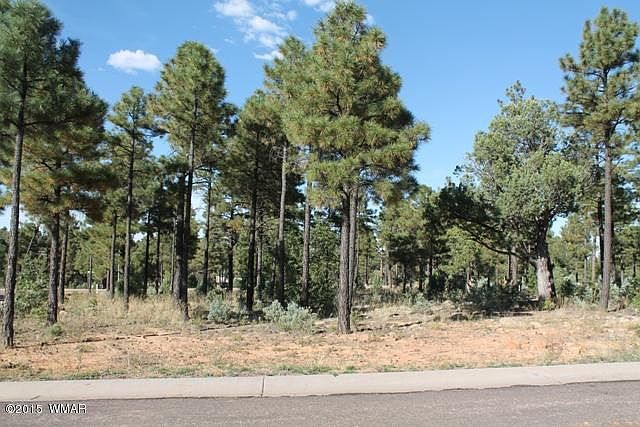 2nd image of 221 Summerberry Dr