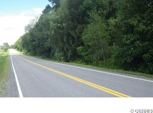 0 Carney Hollow Rd, Springwater, NY 14560