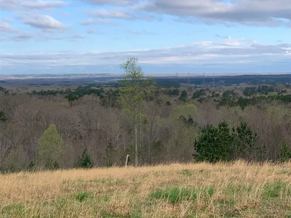 Turkey Knob Rd, Counce, TN 38326