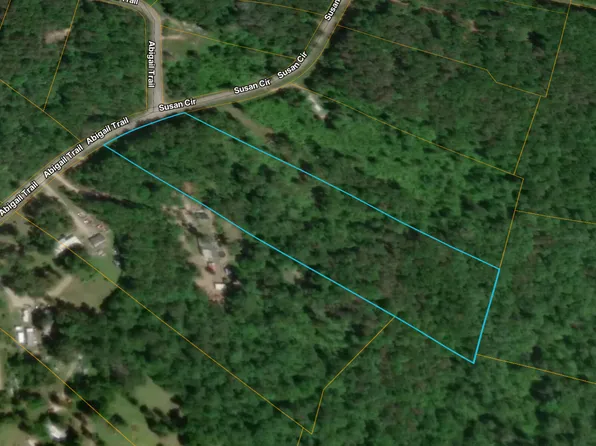 312 Abigail Trl, Deer Lodge, TN 37726