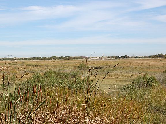 Paddle to Rexhame and the South River