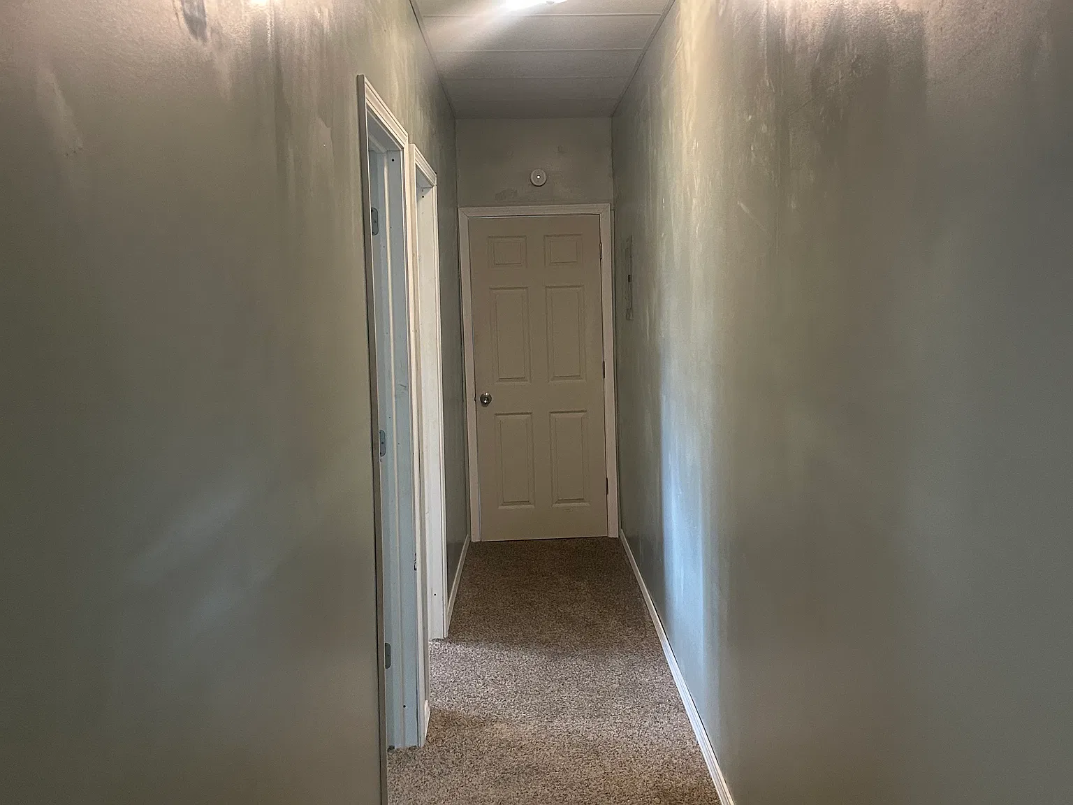 3 bed, 800 sqft, $1,195 — Photo 2