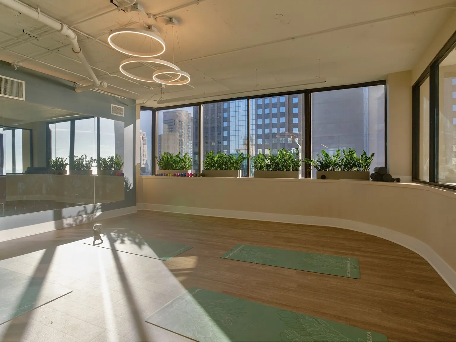 Millennium Park Plaza — Photo 1