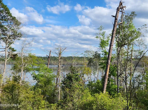 LOT 66 View Dr, Alford, FL 32420