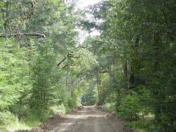 1st image of 6463 Dry Creek Rd #B