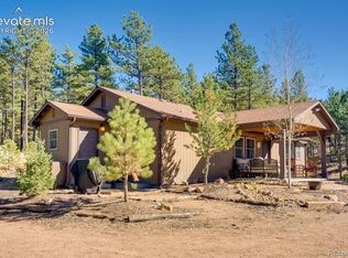 1110 Pikes Peak Dr, Florissant, CO 80816