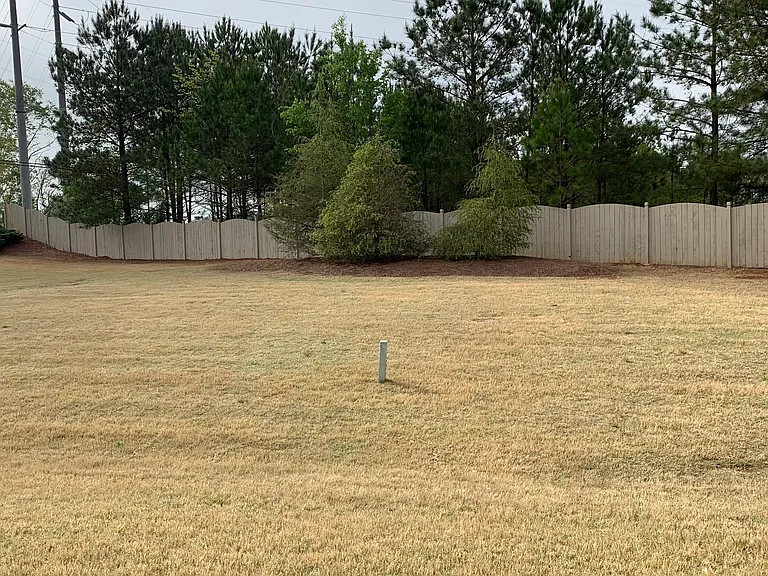 Backyard View2