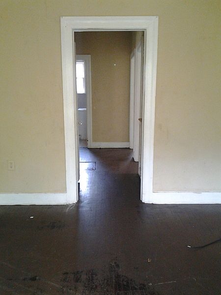 2nd image of 303 Wacaster St