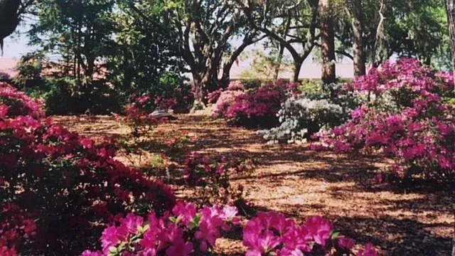 1131 Perdido Manor Dr — Photo 19
