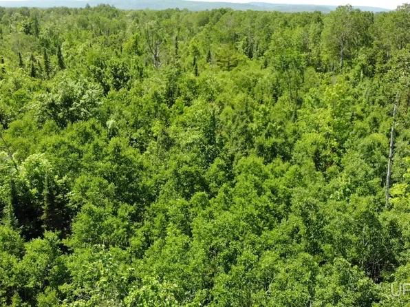 1 Norwich Rd, Ewen, MI 49925