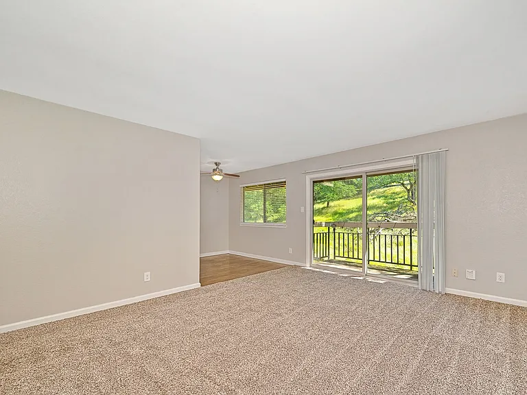 Rollingwood Condominium Rentals — Photo 17