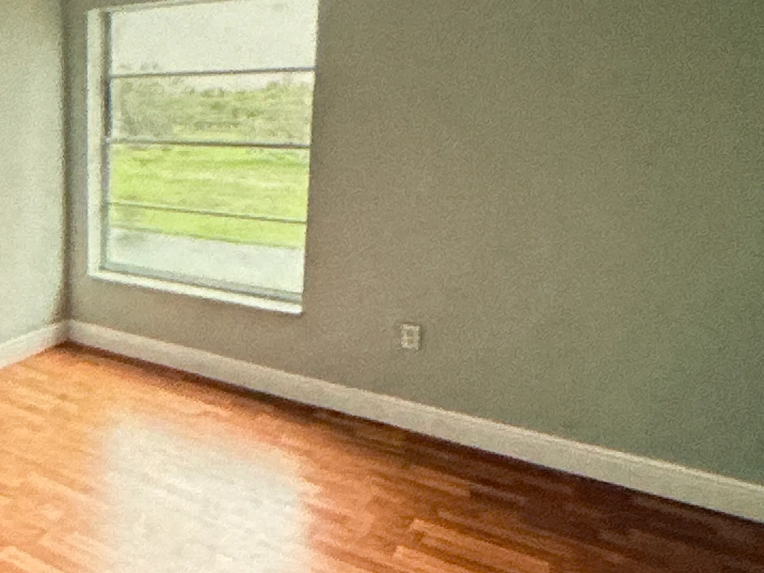 1 bed, $1,650 — Photo 2