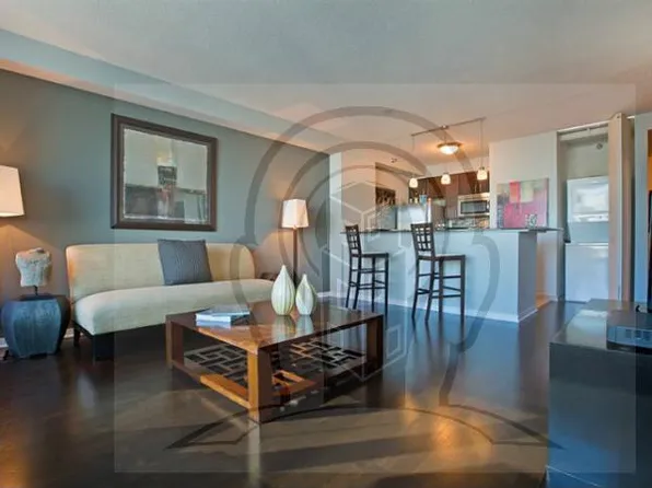 (undisclosed Address), Chicago, IL 60611