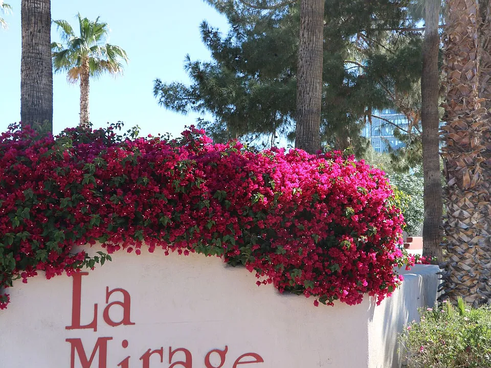 Tempe La Mirage Apartments