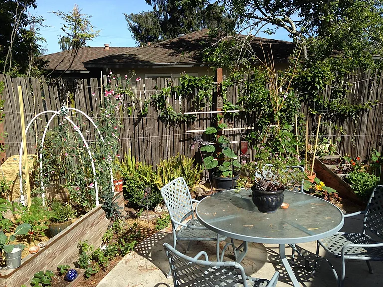 Patio and gardening space