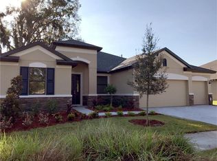 11032 Brahman Ranch Cir, Riverview, FL 33578