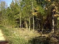 1st image of 8 Fox Creek Ln