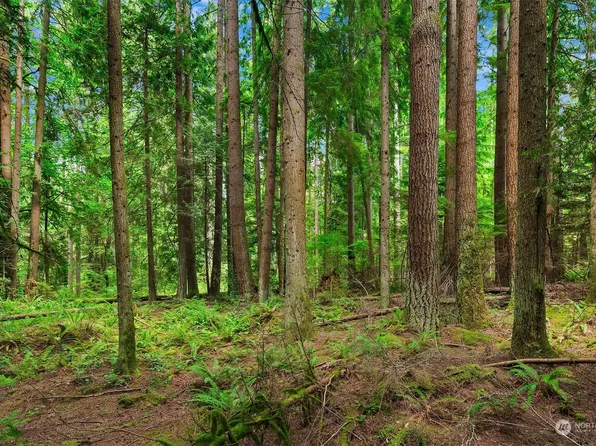 141 XX 292nd Avenue NE, Duvall, WA 98019