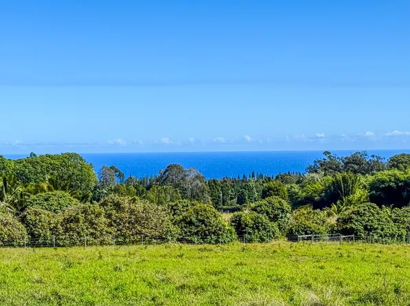 29-613 Chin Chuck Rd Lot A, Hakalau, HI 96710
