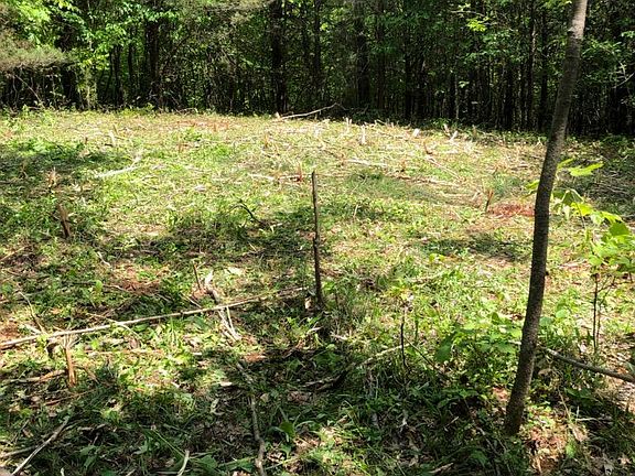 4th image of Pickel Ln