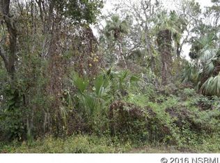 1403 Pine Tree Dr, Edgewater, FL 32132