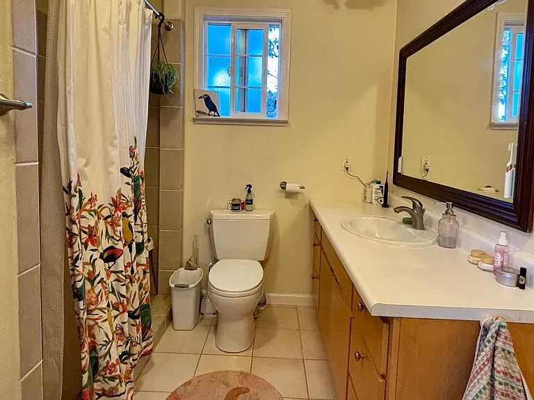 Large bathroom with vanity and walk-in shower