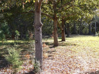 3267? Wagon Wheel Rd, Dozier, AL, 36028