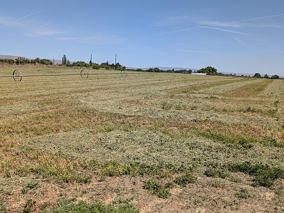5th image of Blaine Rd
