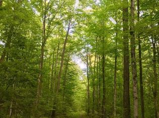 N9245 Bush Lake Rd, Sagola, MI 49881