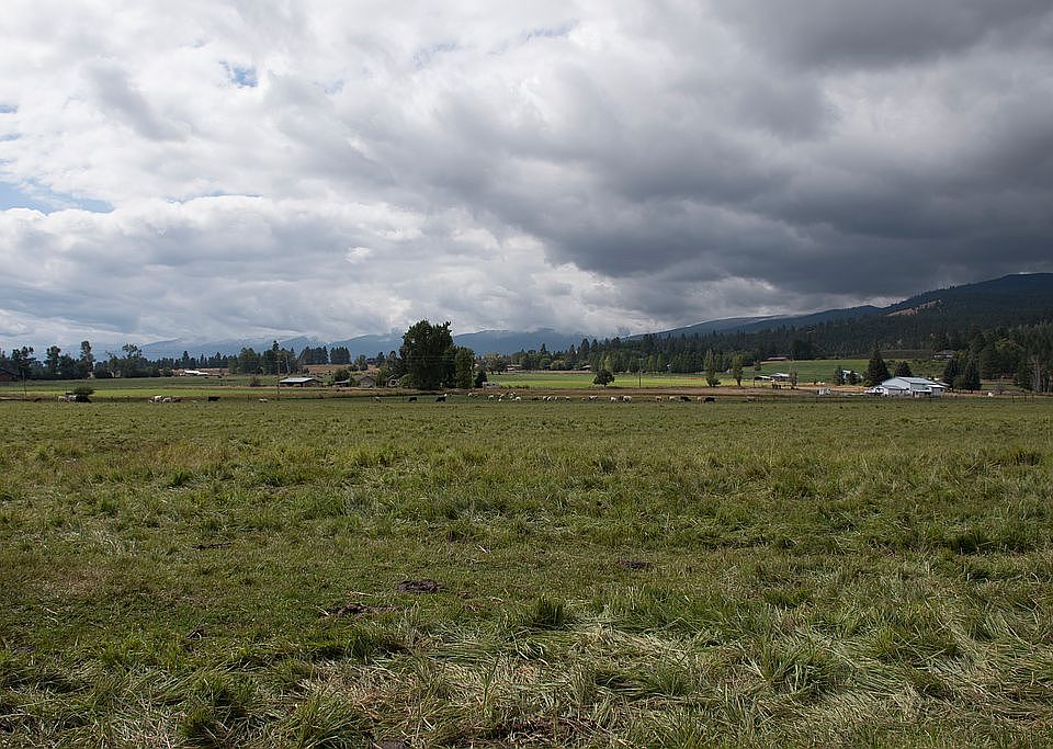 View of s/w pasture