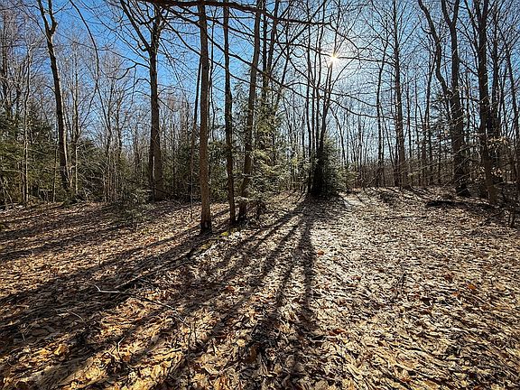 5th image of Paradise Rd