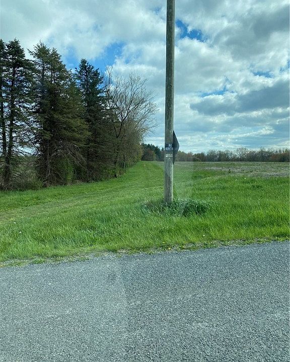 2nd image of 31335 McKaig Rd