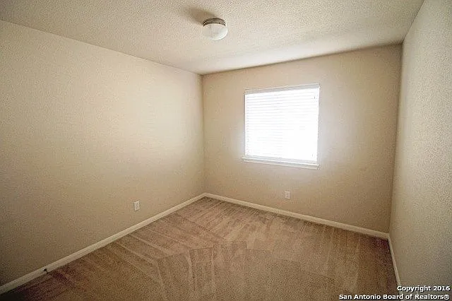 9135 Mare Hunt — Photo 16