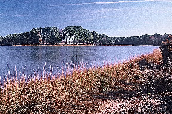Across Hungars Creek