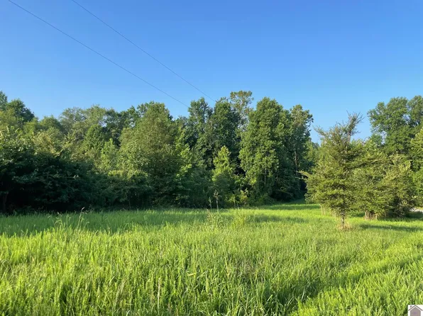0 Saddle Ln, New Concord, KY 42076