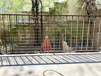 Rented by Mason Group LLC