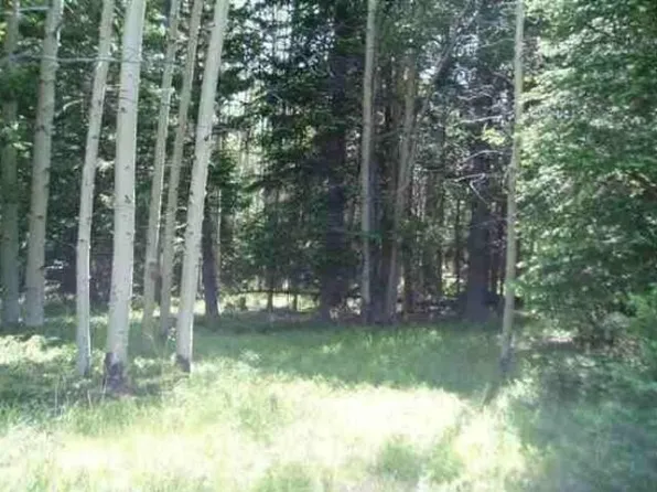 1103 Hazel Lake Dr, Cimarron, CO 81220