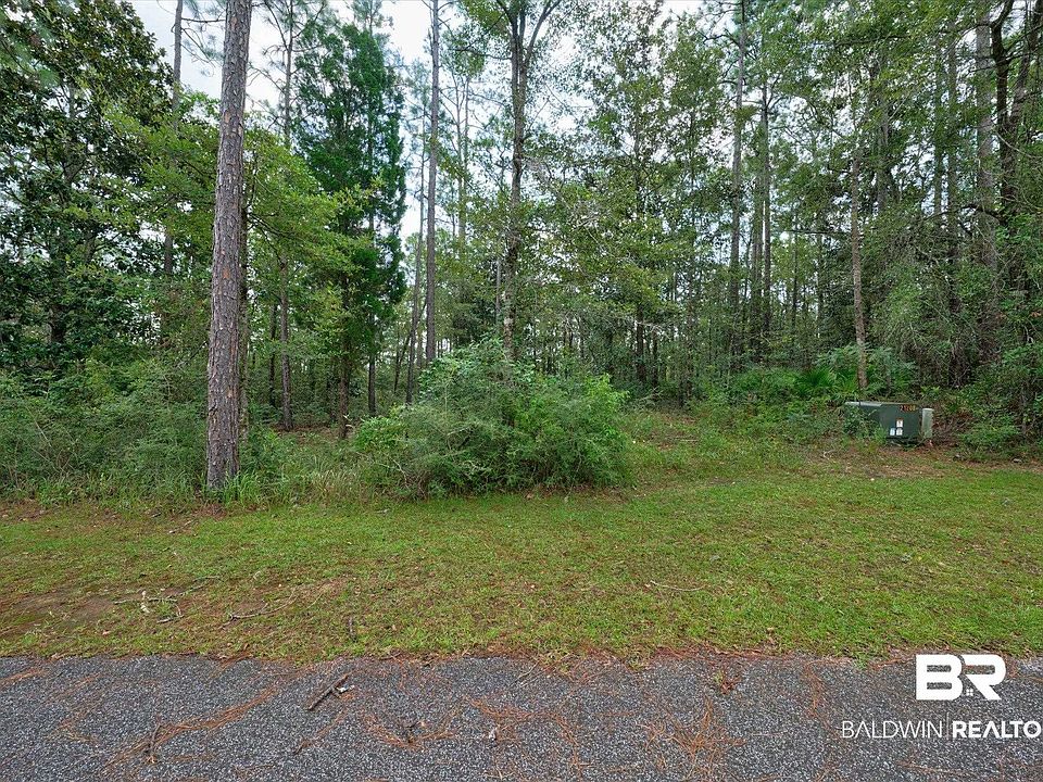 1st image of Palmetto Point