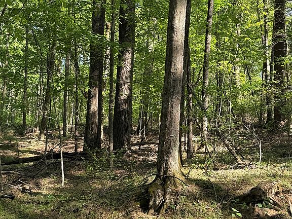 5th image of Lambsburg Rd