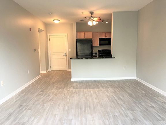 Living room, kitchen, entrance