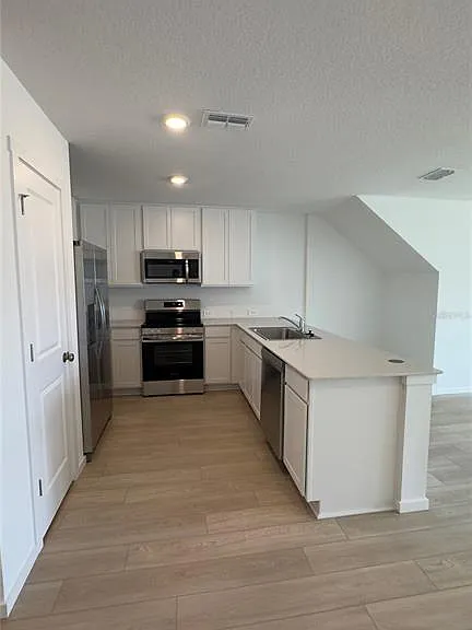 831 Lynx — Photo 4