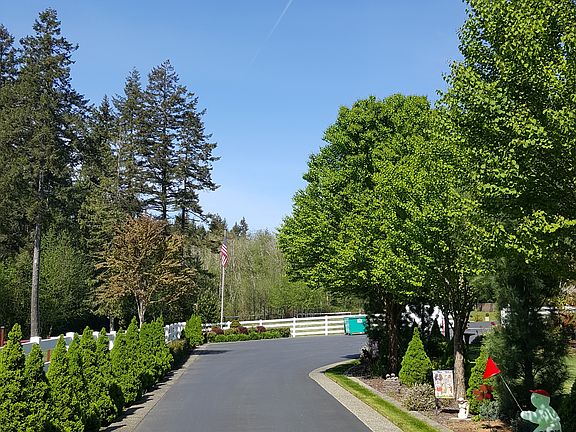 Paved Driveway 