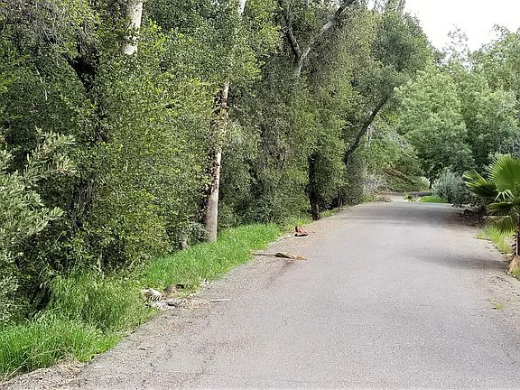 Start of lot facing easterly