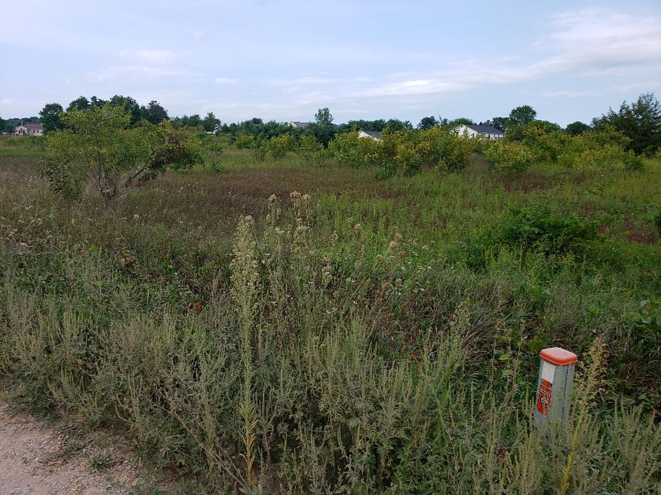 2nd image of N Loop Rd