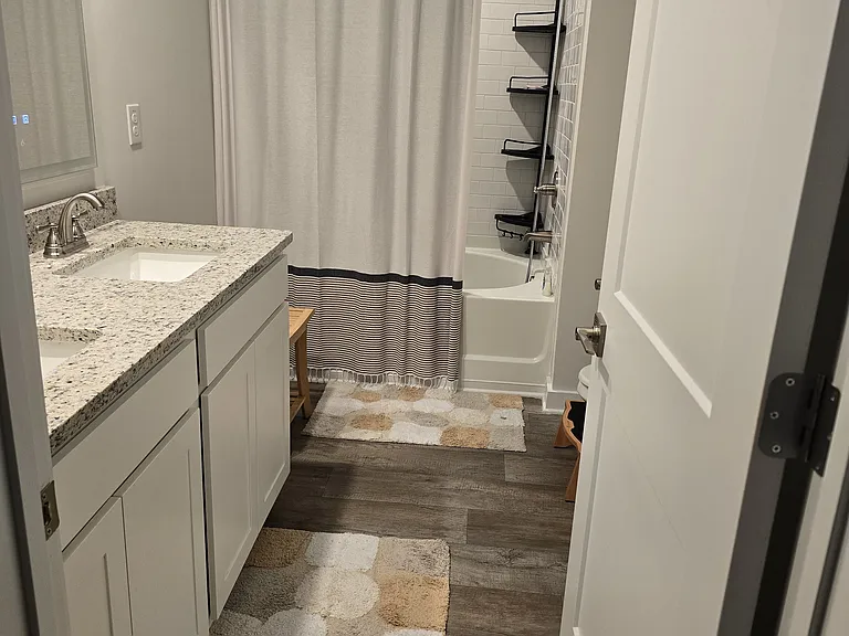 Master bathroom idea picture. Rugs and curtain not included in the lease.